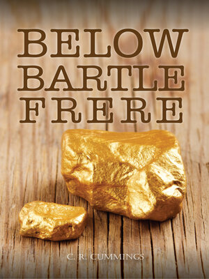 cover image of Below Bartle Frere